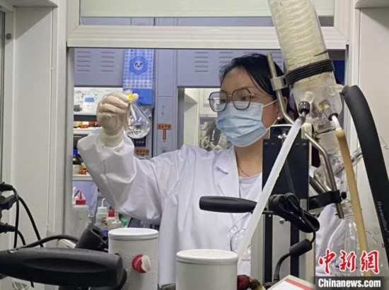 彭艳正在实验室进行抗真菌药物研发。胡语桐 摄