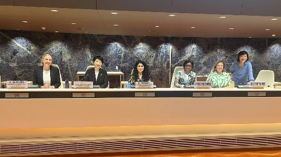 北二外教授、国家文化发展国际战略研究院常务副院长李嘉珊教授（左二）出席联合国贸易和发展会议